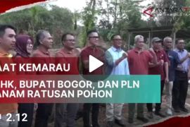 Saat kemarau, KLHK, Bupati Bogor, dan PLN tanam ratusan pohon