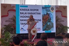 BKP: Ekspor komoditas pertanian Babel Rp15,4 miliar