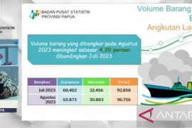 BPS Papua: Penumpang kapal laut Agustus 2023 turun 51,11 persen