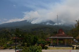 BPBD petakan area hutan dan lahan yang terbakar di Gunung Lawu