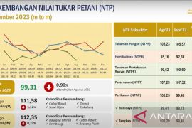 BPS catat Nilai Tukar Petani Papua Barat turun 0,90 persen