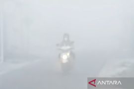 Kabut asap di Sampit jarak pandang kurang dari 10 meter