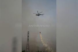 Enam helikopter dioptimalkan untuk penanganan karhutla di Kalteng