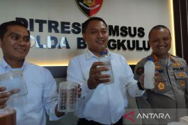 Polda Bengkulu selamatkan 24.434 bibit lobster senilai Rp3,66 miliar