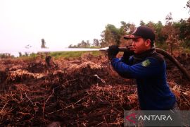 Karhutla jamah 235 hektare hutan konservasi di Kalsel