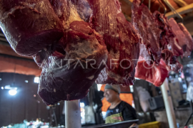 Harga daging sapi DKI Jakarta tertinggi Page 1 Small