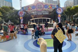 Hush Puppies gelar Dog Art Festival