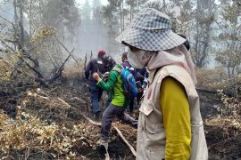 Pemkot Palangka Raya tetapkan status tanggap darurat kebakaran hutan dan lahan