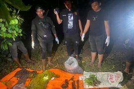 Kerangka manusia ditemukan dalam drum di Aceh Besar