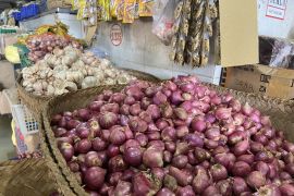 Bawang merah beri andil deflasi tertinggi di Denpasar dan Singaraja
