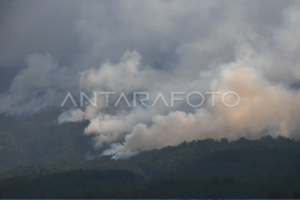 Kebakaran Gunung Lawu Capai 1.100 hektare Page 1 Small