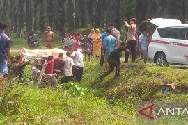 Karyawan panen PT Ramajaya di Kampar tewas kesetrum