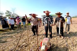 Banjarbaru percepat tanam padi antisipasi dampak El-Nino