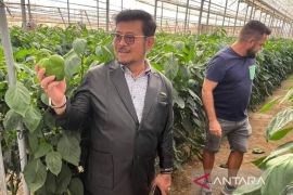 Menkopolhukam Mahfud MD sebut dapat informasi SYL ditetapkan tersangka korupsi Kementan