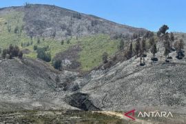 Polisi limpahkan berkas kasus kebakaran Bromo ke Kejaksaan