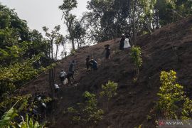 Petani Badui di pedalaman Lebak mulai tanam padi huma setelah hujan mulai turun