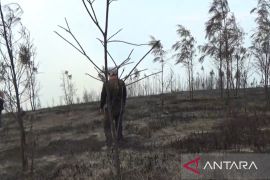 Super Puma 25 kali "water bombing" atasi karhutla di Gunung Lawu