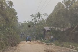 Kementerian LHK lepas kawasan hutan Tabalong seluas 4.520 hektare