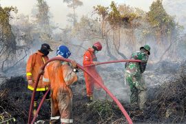 BPBD Babel padamkan kebakaran 55 hektare Hutan Lindung Koba (Video)