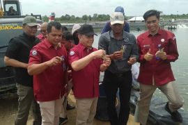 KKP: Aceh Timur miliki potensi jadi sentra perikanan di Aceh