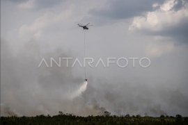 PMKRI minta polisi buru pelaku karhutla di Sumsel