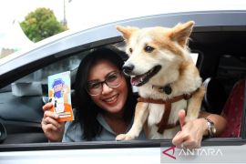 Vaksinasi Rabies Gratis