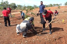 Pemkot Jayapura tanam 1.500 bibit pohon TPU Buper Waena