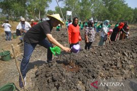 PNM Surabaya tanam bibit unggul bantu antisipasi kekurangan pangan