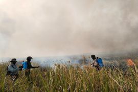 Pemprov Lampung minta kabupaten/kota lanjutkan pemantauan titik panas