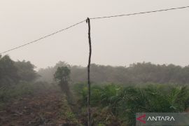 Kabut asap mulai selimuti sebagian wilayah Mukomuko