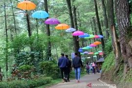 Disparpora Ngawi minta pengelola wisata lereng Lawu waspada karhutla