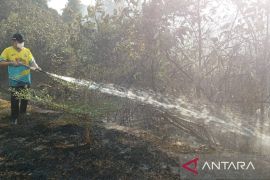 Bupati Bangka Tengah instruksikan masyarakat siaga karhutla