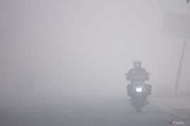 KLHK gencarkan patroli cegah karhutla di Tol Trans Sumatera