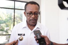 Jayapura harap masyarakat dapat kurangi ketergantungan dengan beras