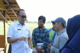 Pj Gubernur dorong balai benih jadi pusat inovasi pertanian di Sulbar