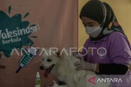 Kaltim kemarin, waspada zoonosis hingga 5.000 vaksin rabies