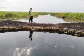 Kelompok Masyarakat Gambut Raya di Muaro Jambi akui pemanfaatan sekat kanal atasi karhutla