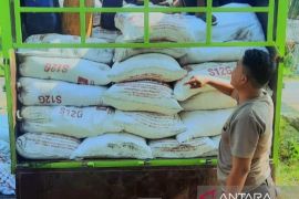 Enam ton captikus dari Minahasa Selatan ditangkap kepolisian di Popayato-Gorontalo