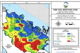 BMKG catat 220 hot spot di Riau