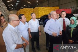 Ketersediaan beras di Kalbar aman hingga empat bulan ke depan