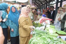 Bupati Bengkalis ajak masyarakat kosumsi makanan lokal