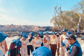 GenBI Sulsel bantu merehabilitasi kawasan mangrove di Pinrang