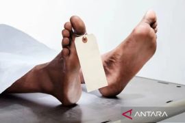 Warga Cina tewas diduga akibat tersengat listrik di kawasan pembangkit listrik di Taput