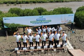 SPMT tanam mangrove, jaga ekosistem laut untuk Indonesia