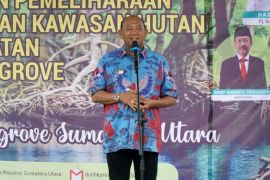 Plt Bupati Langkat : Perlu penanaman guna pemulihan ekosistim mangrove