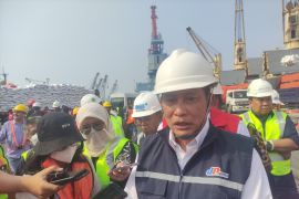 Buwas minta pidanakan penyebar informasi bohong terkait beras