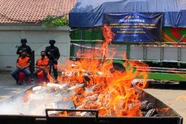 Bea Cukai Semarang : Ada 114 kali tindak peredaran rokok ilegal