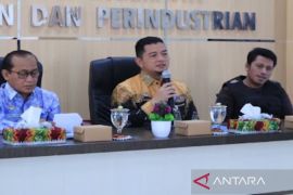 Pemkot Banjarmasin genjot peningkatan kualitas kerajinan olahan kayu