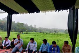 Ini peran PT NSHE mendukung SDGs program "Hatabosi" di Marancar
