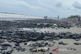 LSM mendesak Pemerintah Aceh tangani pencemaran batu bara di Aceh Barat